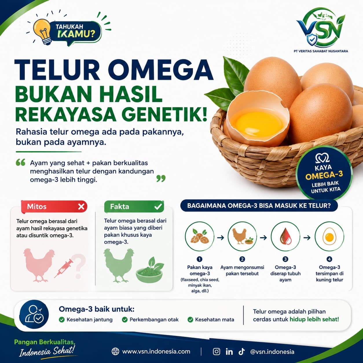 Infografik tentang telur omega