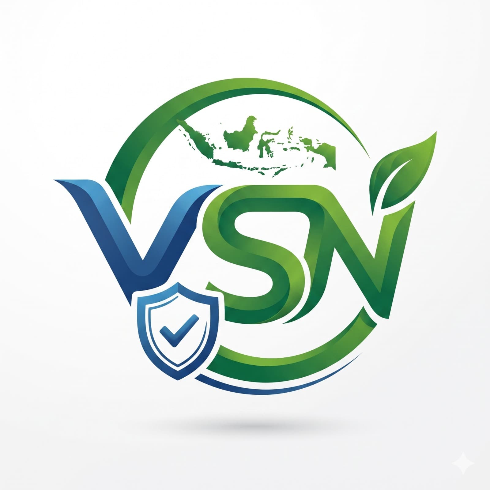 VSN logo
